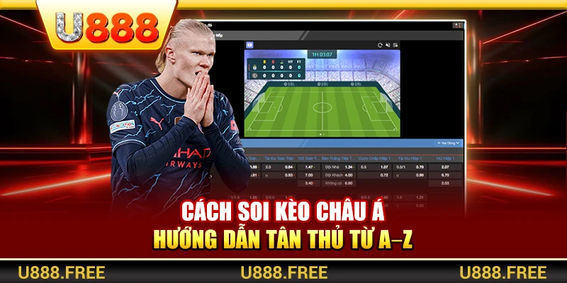 Cách Soi Kèo Châu Á – Hướng Dẫn Tân Thủ Từ A–Z