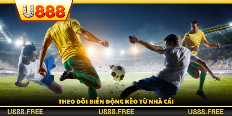 Quan sát sự thay đổi tỷ lệ kèo để nhận biết xu hướng