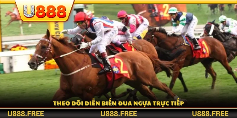 Quan sát đường đua và kết quả trực tuyến