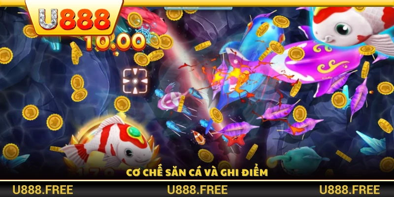 Cách thức bắn cá và hệ thống tính điểm trong game